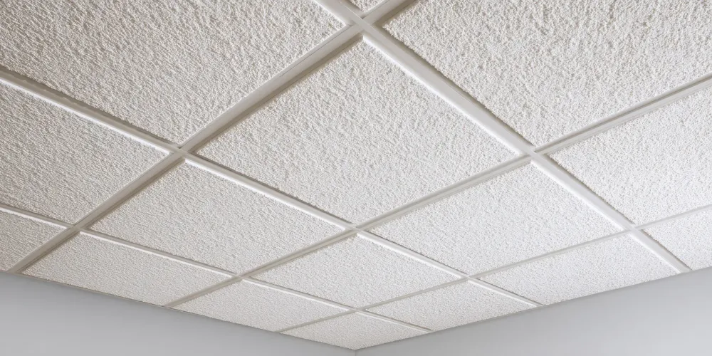 plafonds suspendus adaptés